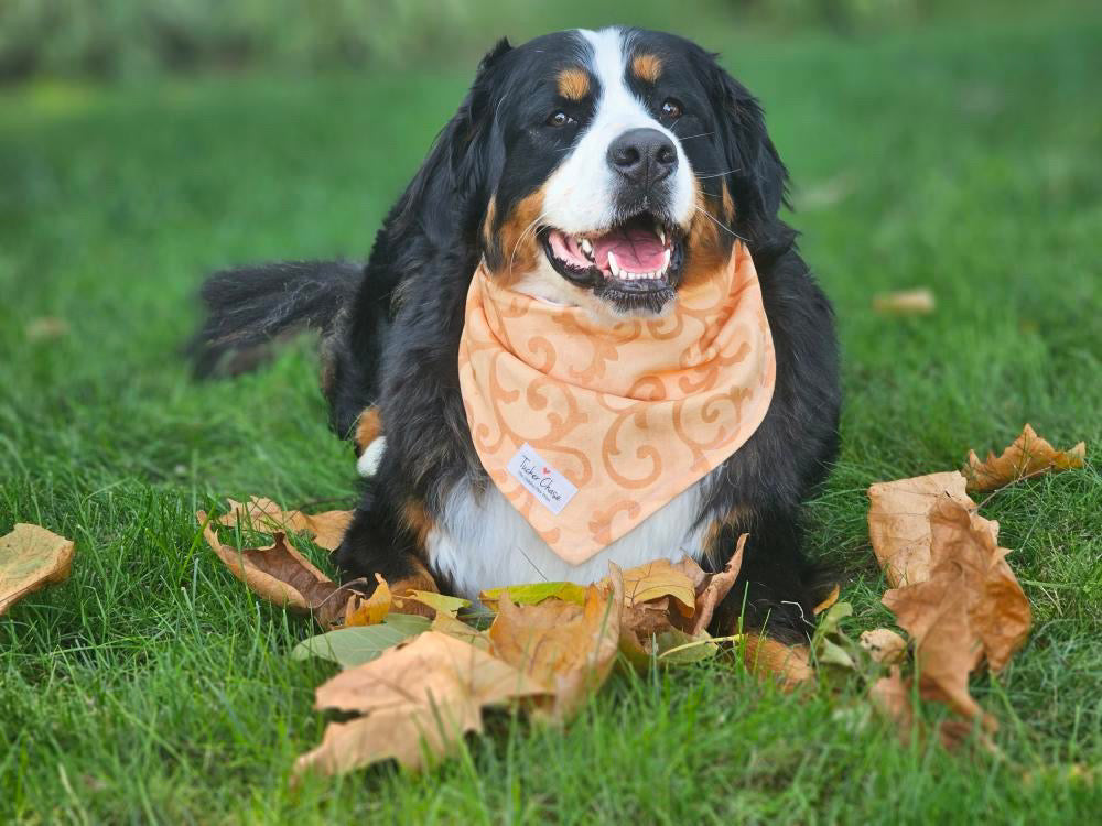 The Whimsical Autumn