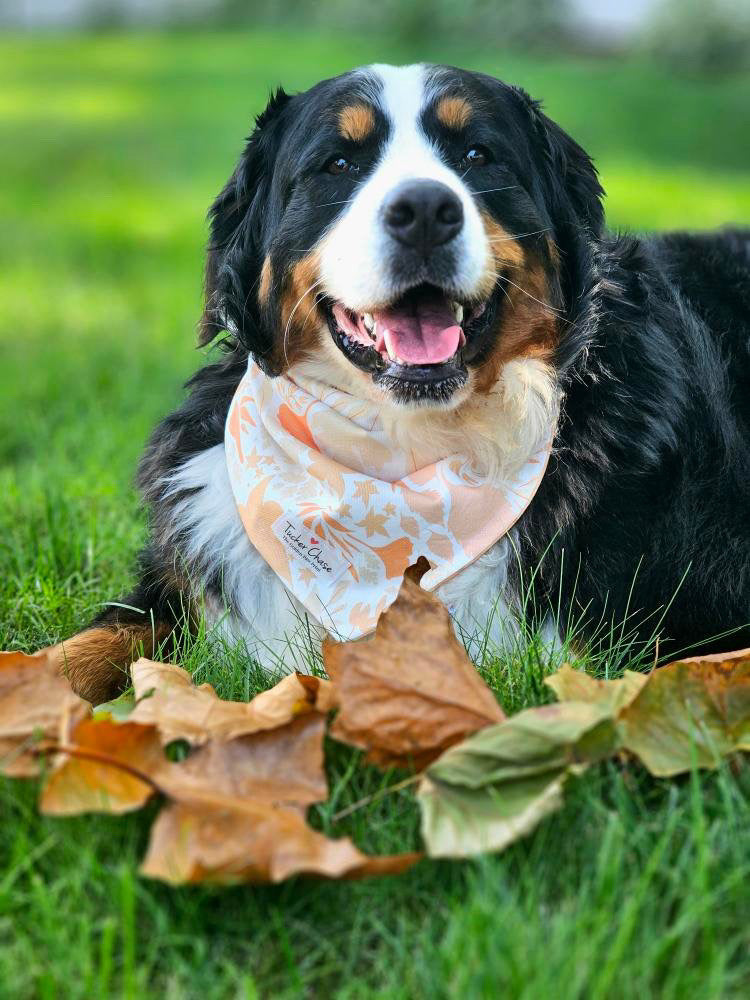 The Whimsical Autumn