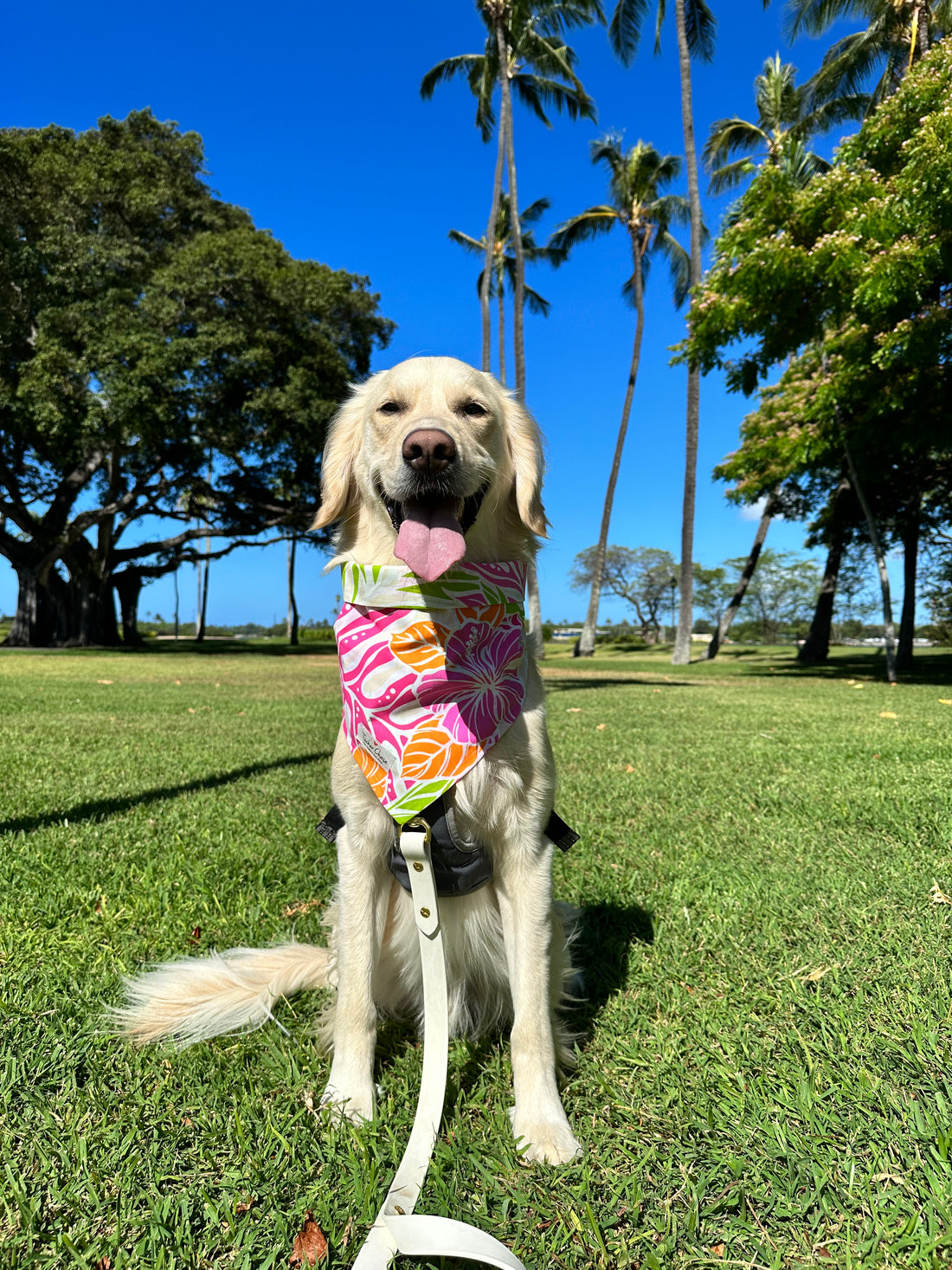 Tucker wearing The Island Palms on Beige 